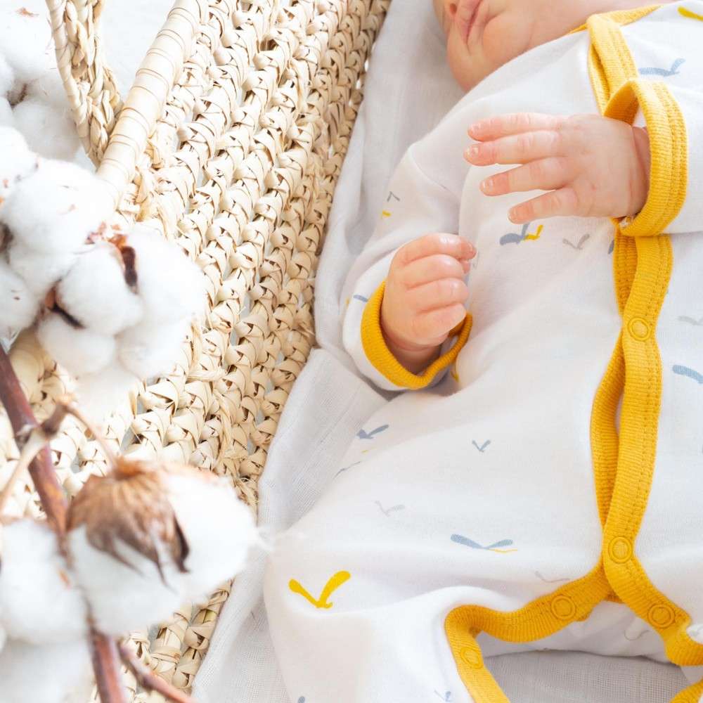 Pyjama Bebe Coton Envolee D Ete