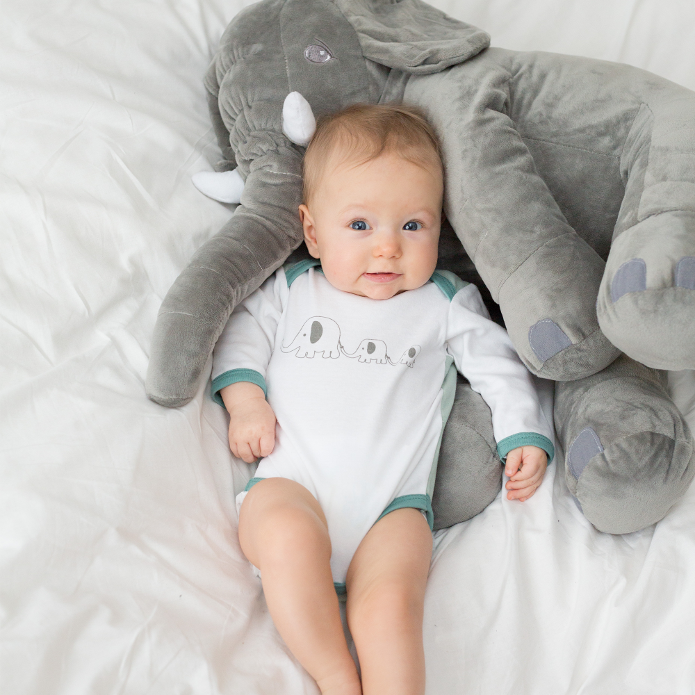 Lot De Bodies Pour Garcons Elephant Et Lion