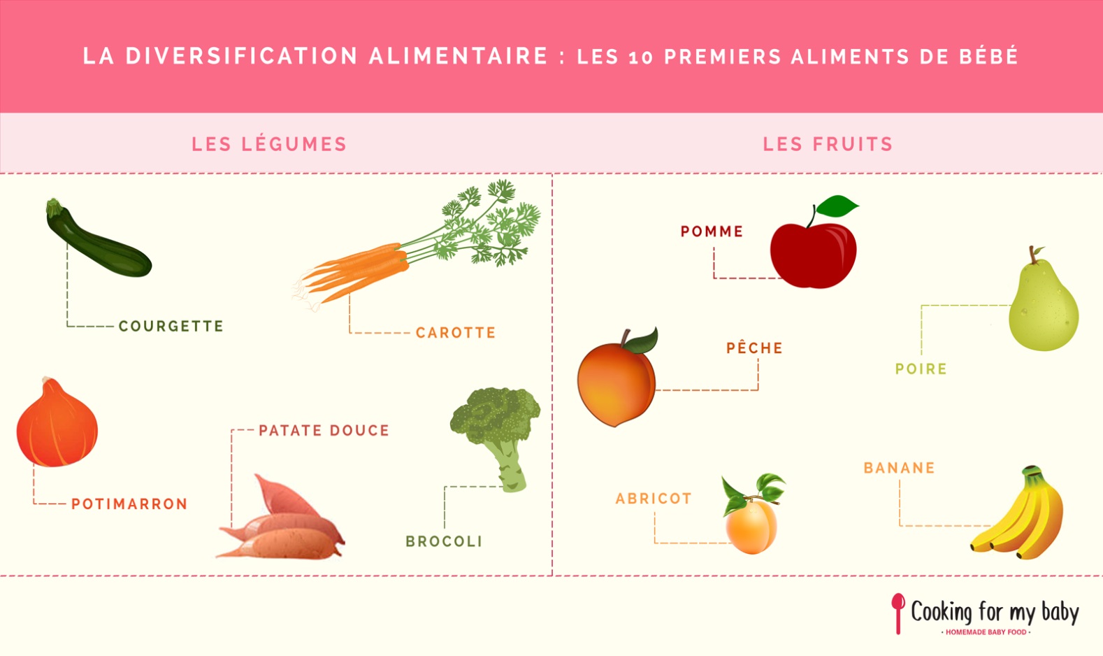 La Diversification Alimentaire Chez Bebe Kinousses